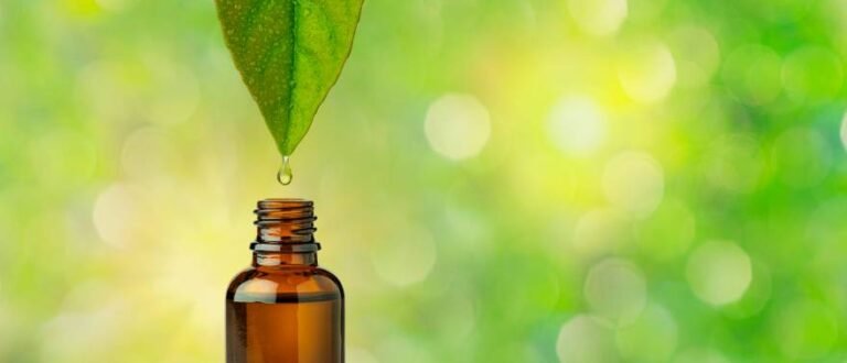 Natural supplements extraction with green leaf dripping into amber bottle representing the best natural health products and wellness solutions