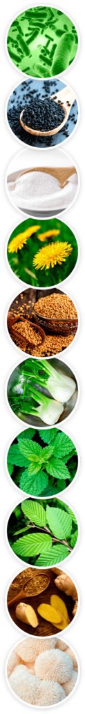PrimeBiome ingredients
