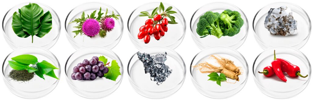 Vertigenics ingredients for balance support