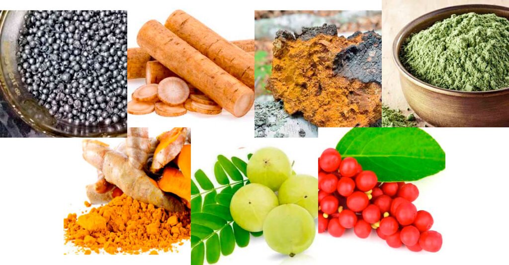 Natural Pineal XT ingredients including Turmeric and Chaga displayed in wooden bowls.